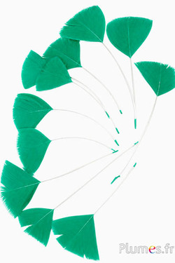 Verenblaadjes - 6-8 x 3-4 cm - groen